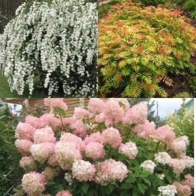 Комплект ФЕЙЕРВЕРК ЛЕТА в Челябинске