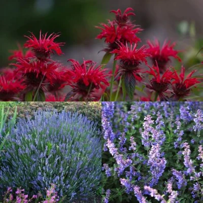 Комплект АРОМАТНЫЙ ЧАЙ в Челябинске