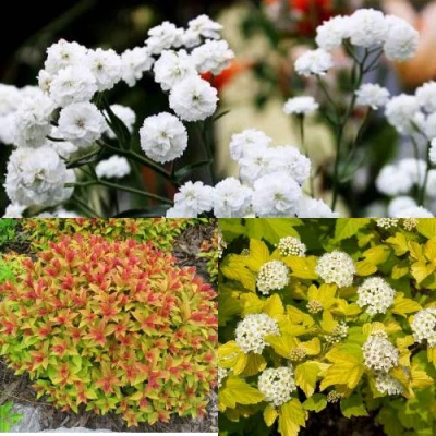 Комплект СОЛНЕЧНЫЙ МИКС в Челябинске