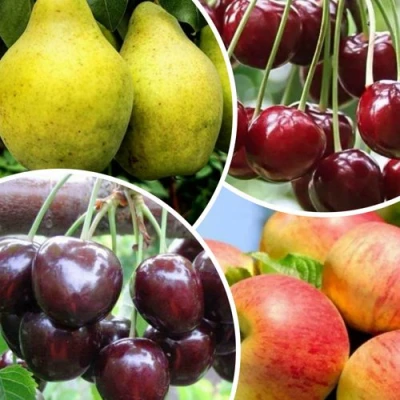 Комплект НАСЛАЖДЕНИЕ в Челябинске