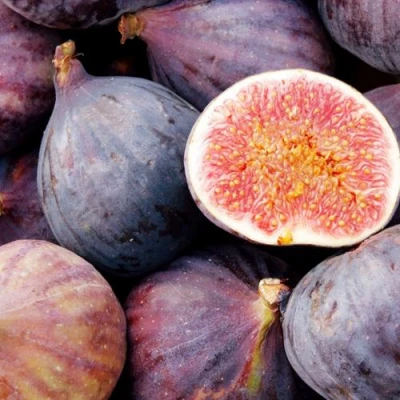 Инжир МУАССОН в Челябинске