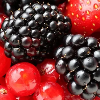 Ежевика  Ежевика в Челябинске