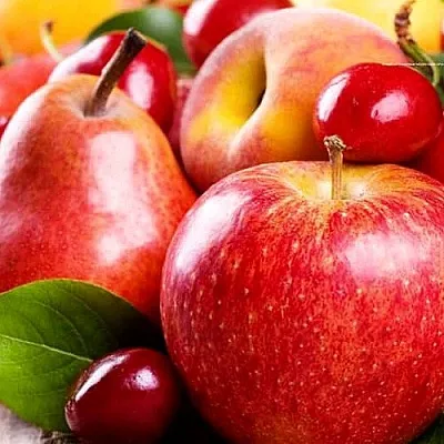 Плодовые деревья  Плодовые деревья в Челябинске