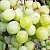 Виноград КЕША МУСКАТ в Челябинске
