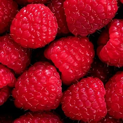 Малина  Малина в Челябинске